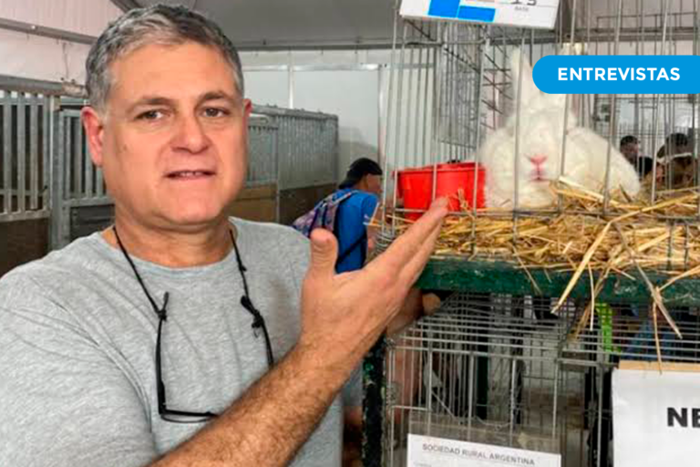 Pilar volvió a destacarse en la Rural: un criador local obtuvo el Gran Campeón con sus conejos y consolida su prestigio internacional
